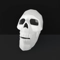 Faceted Skull
