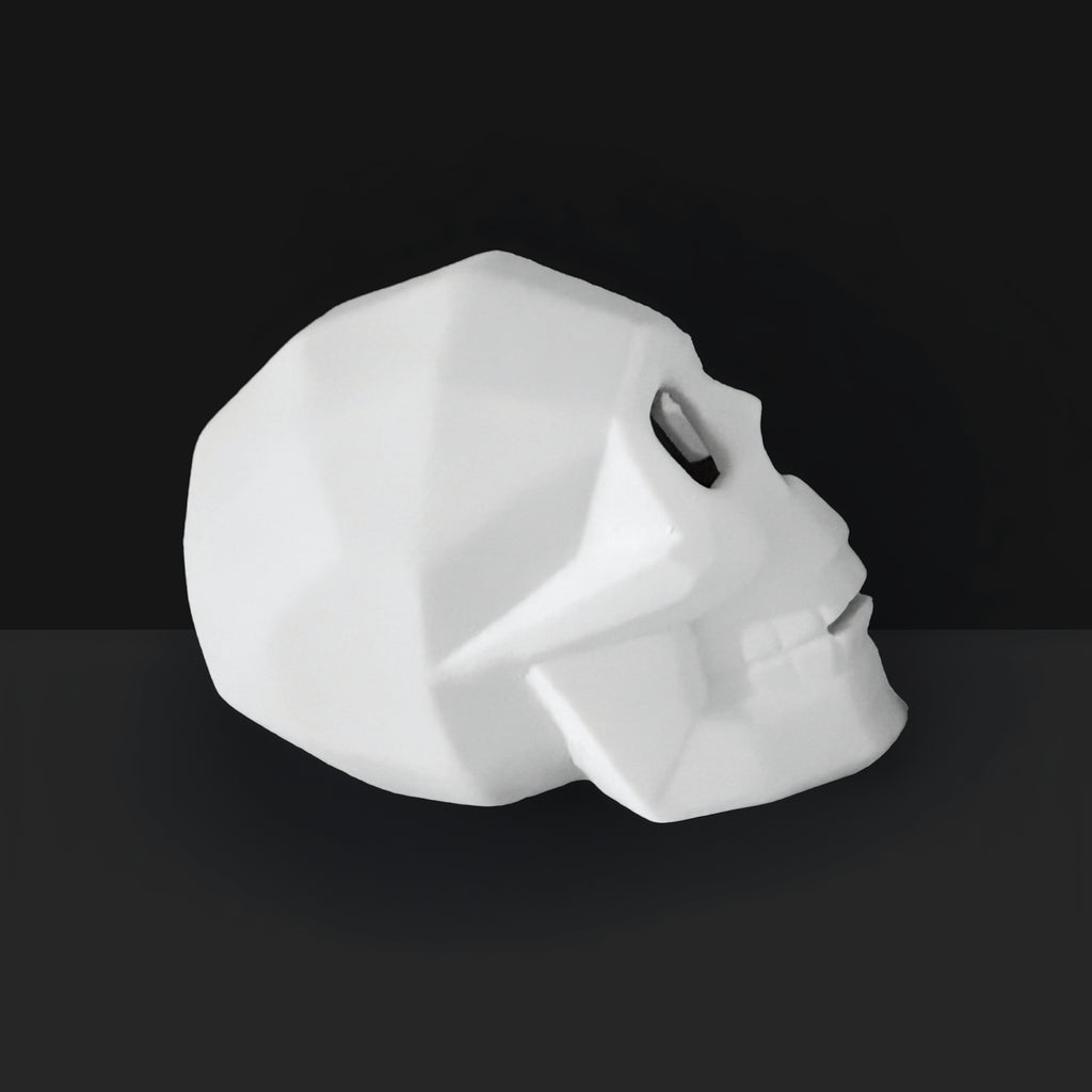 Faceted Skull