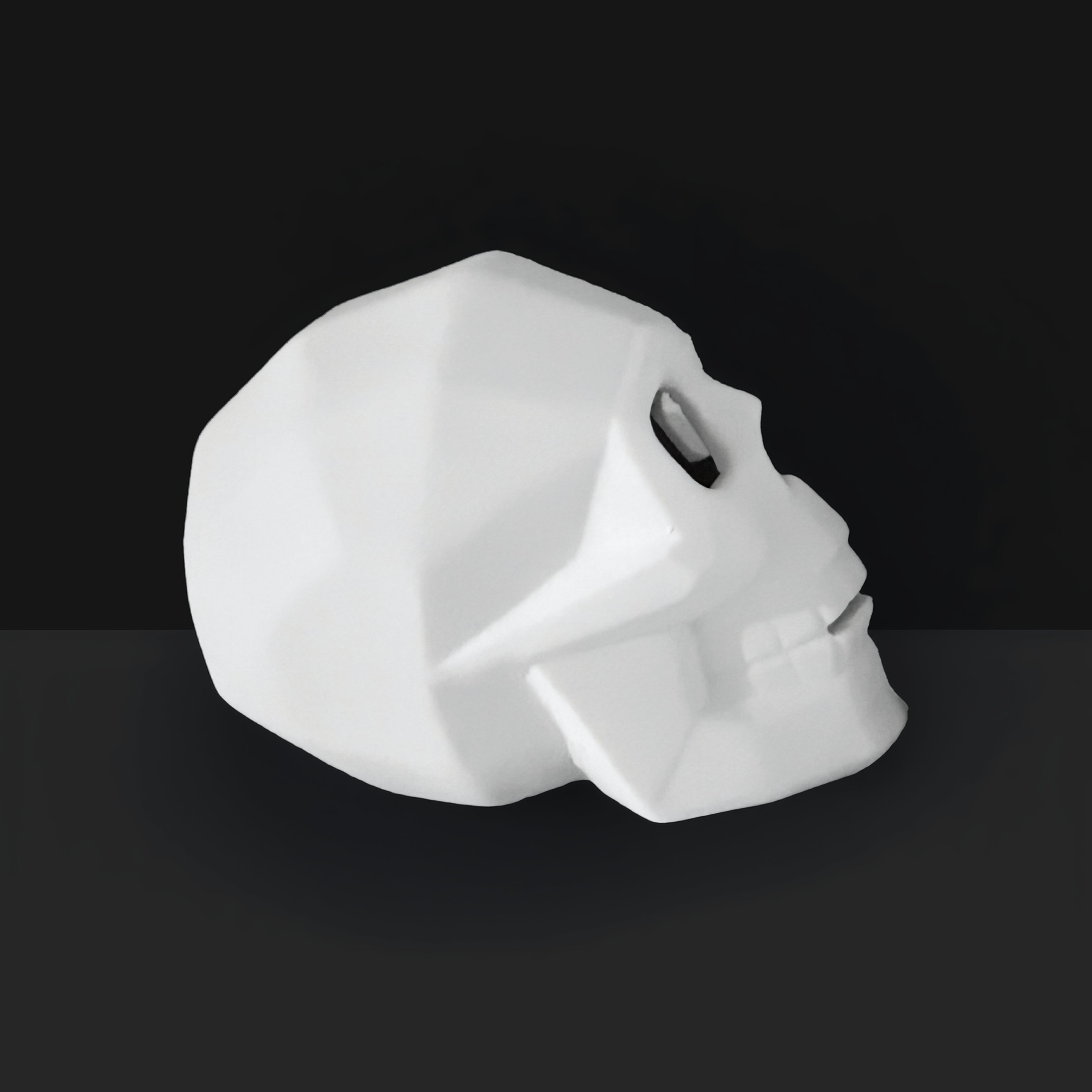 Faceted Skull