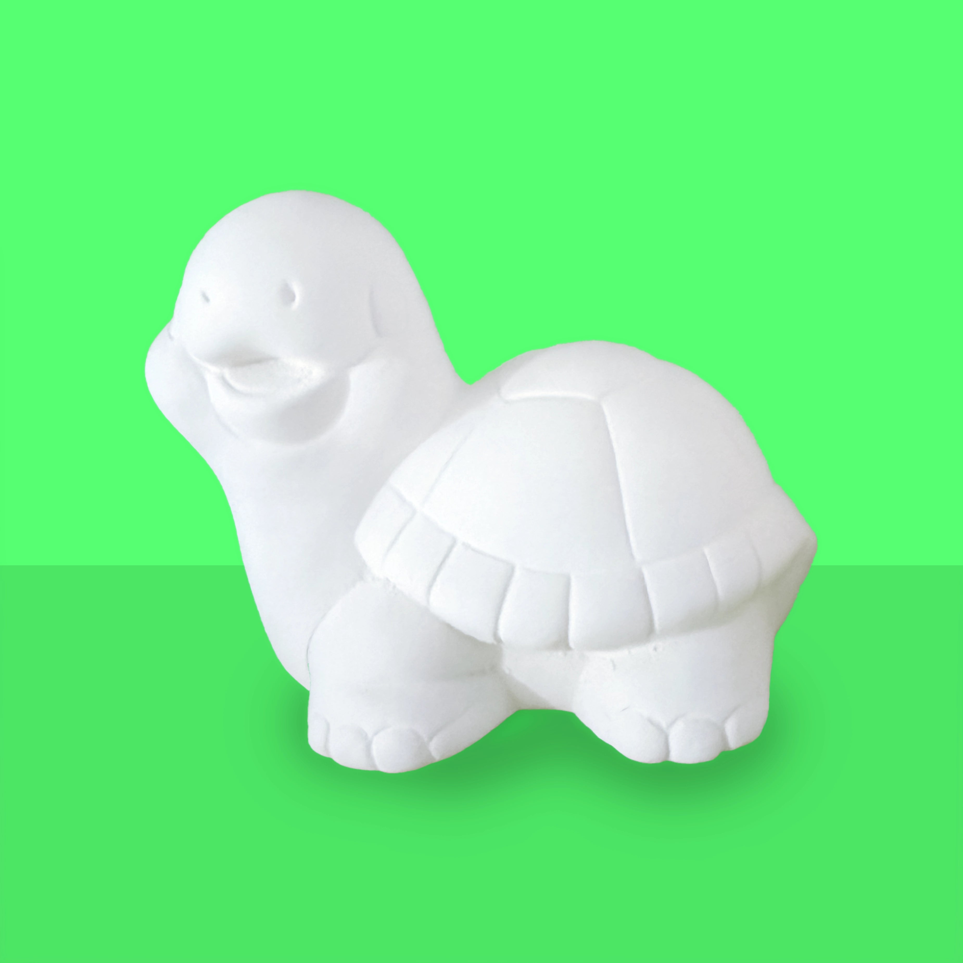 Turtle Collectible