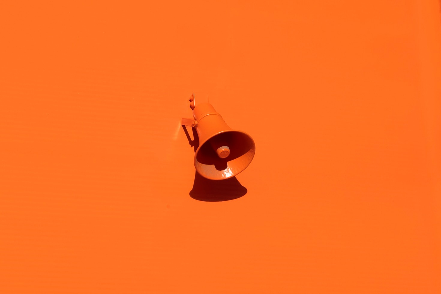 The Role of Color in Web Design: PixelPup’s Perspective